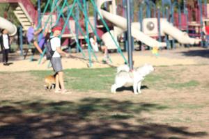 IMG_8637 - Copy