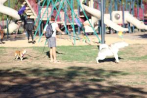 IMG_8639 - Copy
