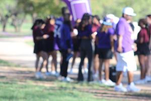 IMG_8641 - Copy